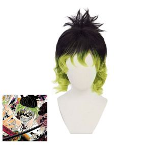 Anime Demon Slayer Giyuutarou Cosplay Wig