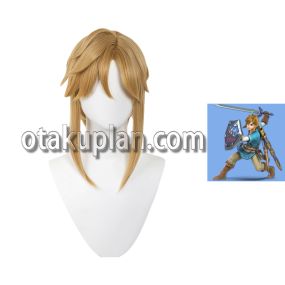 The Legend Of Zelda Link Classic Cosplay Wigs