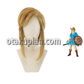 The Legend Of Zelda Link Cosplay Wigs
